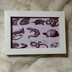 White Framed Reptile Print